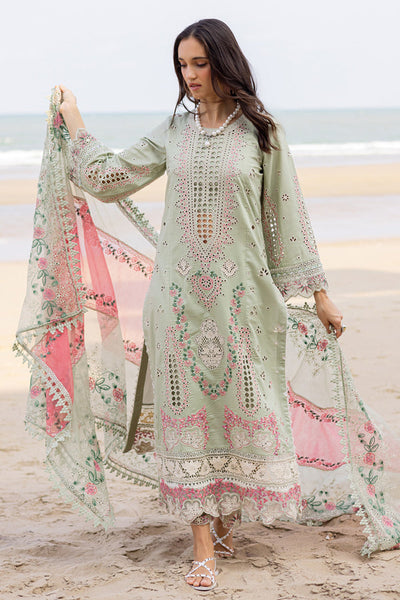 Marjjan | Mavi Lawn | MLL-24 B (PASTEL GREEN) -  Marjjan Ladies Clothes - Original Designer Dress - House of Maryam