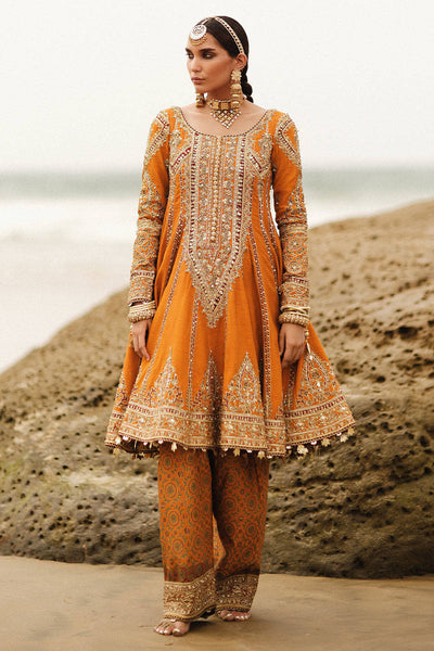 MNR | Gehraiyaan Shaadi Collection | Famiya -  MNR Bridal - Original Designer Dress - House of Maryam