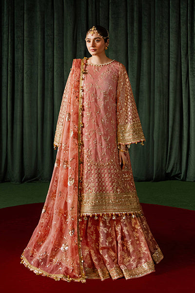 MNR | Zarlish Festive Formals | Guriya Rani -  MNR Ladies Clothes - Original Designer Dress - House of Maryam