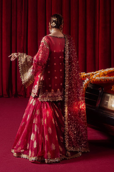 MNR | Zarlish Festive Formals | Leela -  MNR Ladies Clothes - Original Designer Dress - House of Maryam