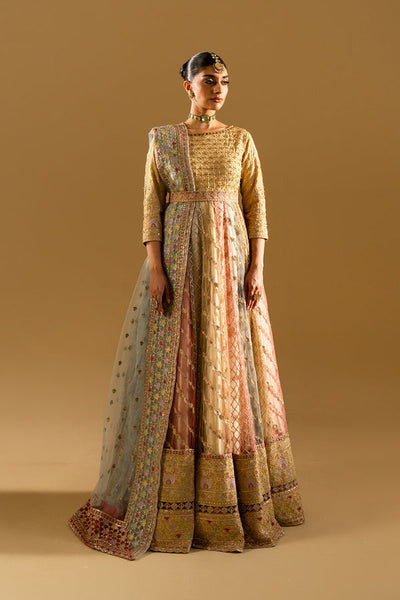 Maryum N Maria | Mysha Wedding Formals | KARIN - MS50187 -  Maryum N Maria Ladies Clothes - Original Designer Dress - House of Maryam