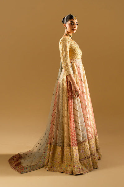 Maryum N Maria | Mysha Wedding Formals | KARIN - MS50187 -  Maryum N Maria Ladies Clothes - Original Designer Dress - House of Maryam