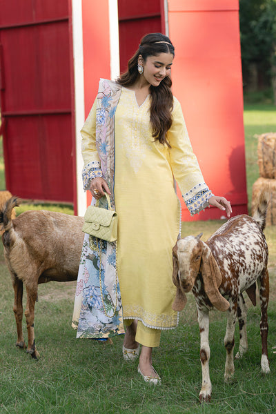Maryum N Maria | Cosy Crew Winter Pret 25 | GULALI - MSS5768 -  Maryum N Maria Ladies Clothes - Original Designer Dress - House of Maryam
