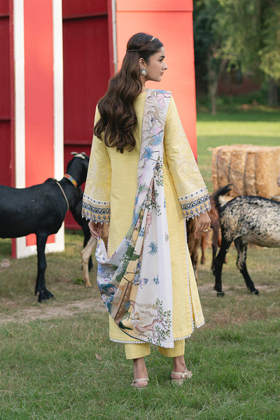 Maryum N Maria | Cosy Crew Winter Pret 25 | GULALI - MSS5768 -  Maryum N Maria Ladies Clothes - Original Designer Dress - House of Maryam