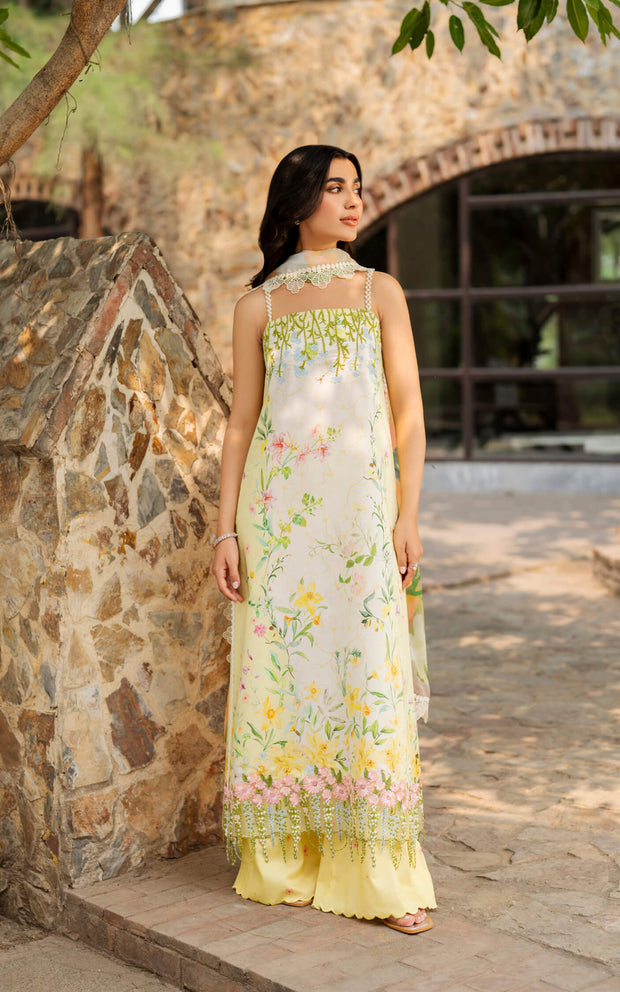 Asifa and Nabeel | Meraki SUmmer 26 | Orchid MSSL-01-3