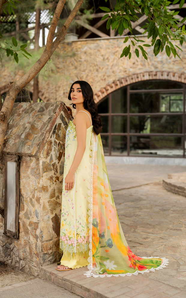 Asifa and Nabeel | Meraki SUmmer 26 | Orchid MSSL-01-2