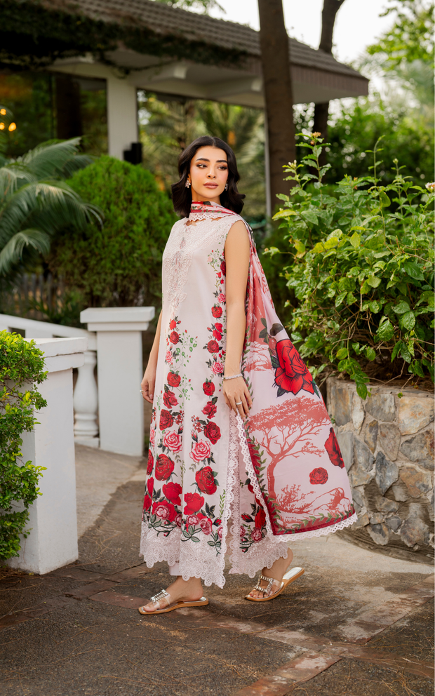 Asifa and Nabeel | Meraki SUmmer 26 | Gilded Rose MSSL-05-3