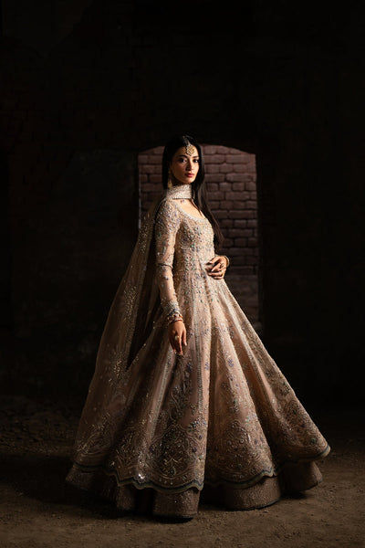 Nyra | Wedding Festive 25' | Mehmal