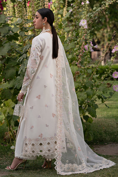 Zarposh | Celia Luxe | Elaris -  Zarposh Ladies Clothes - Original Designer Dress - House of Maryam
