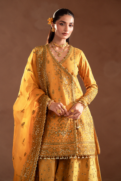 Emaan Adeel | Selene Formals | VELORIA -  Emaan Adeel Ladies Clothes - Original Designer Dress - House of Maryam