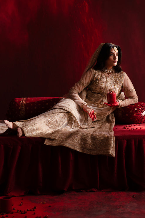 Emaan Adeel | Nooresha Formals 25 | Safira -  Emaan Adeel Ladies Clothes - Original Designer Dress - House of Maryam