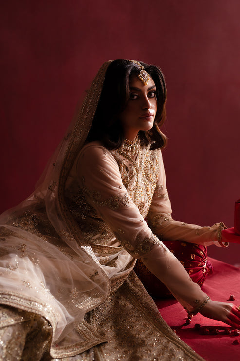 Emaan Adeel | Nooresha Formals 25 | Safira -  Emaan Adeel Ladies Clothes - Original Designer Dress - House of Maryam