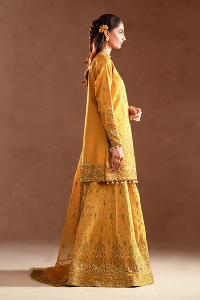 Emaan Adeel | Selene Formals | VELORIA -  Emaan Adeel Ladies Clothes - Original Designer Dress - House of Maryam