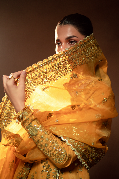 Emaan Adeel | Selene Formals | VELORIA -  Emaan Adeel Ladies Clothes - Original Designer Dress - House of Maryam