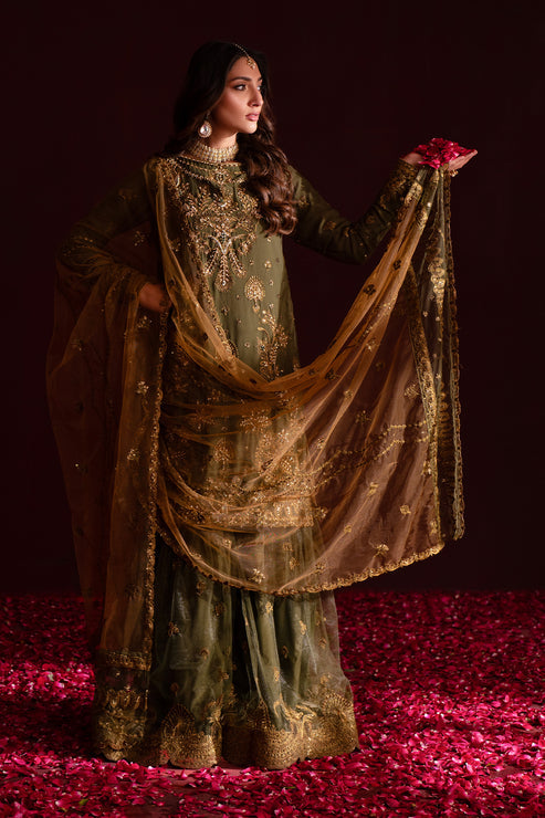 Emaan Adeel | Nooresha Formals 25 | Sunoora -  Emaan Adeel Ladies Clothes - Original Designer Dress - House of Maryam