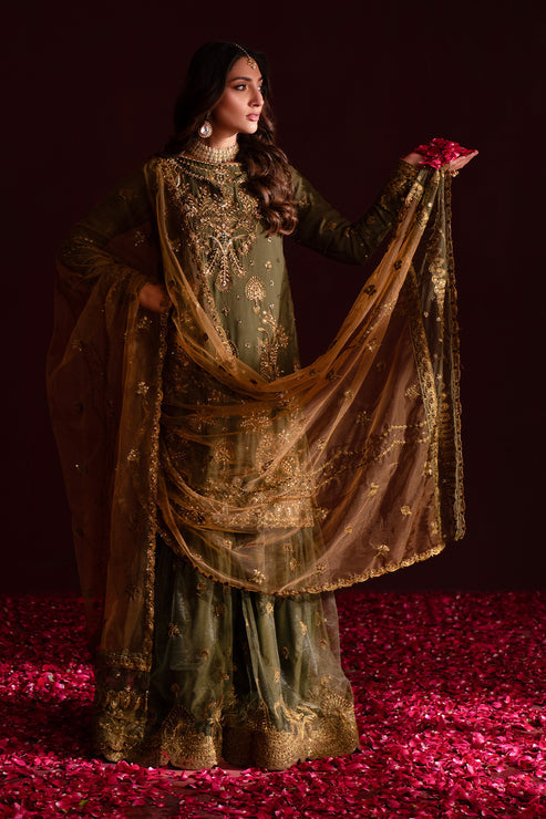 Emaan Adeel | Nooresha Formals 25 | Sunoora -  Emaan Adeel Ladies Clothes - Original Designer Dress - House of Maryam