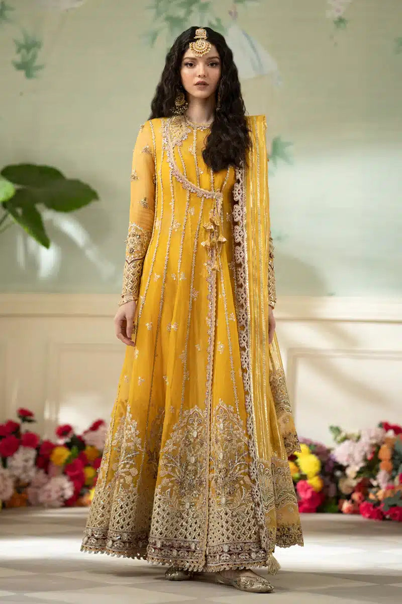 Qalamkar | Dilnaz Wedding Formals | DN-04 KANZA