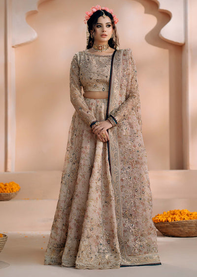 Fozia Khalid | Chamakh Dhamakh Wedding Festivity | Rasam -  Fozia Khalid Ladies Clothes - Original Designer Dress - House of Maryam