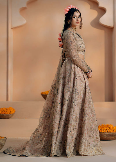 Fozia Khalid | Chamakh Dhamakh Wedding Festivity | Rasam -  Fozia Khalid Ladies Clothes - Original Designer Dress - House of Maryam