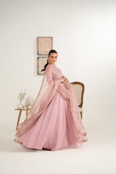 Akbar Aslam Feroza chiffon formal pret, photo 8