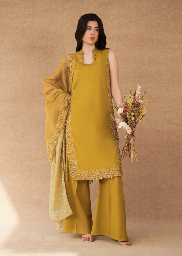 Laj | Festive Eid 25 | LE02-09-25 -  Laj Ladies Clothes - Original Designer Dress - House of Maryam