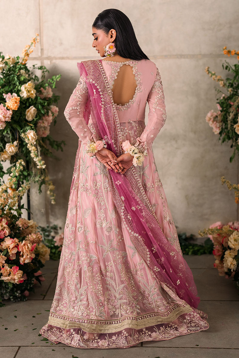 Mushq | Mastani Evening Luxury Chiffon | Maisha -  Mushq Formal - Original Designer Dress - House of Maryam