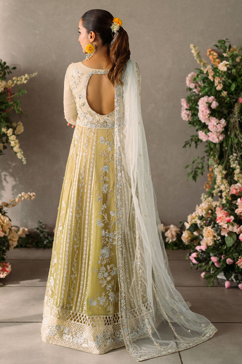 Mushq | Mastani Evening Luxury Chiffon | Hira -  Mushq Formal - Original Designer Dress - House of Maryam