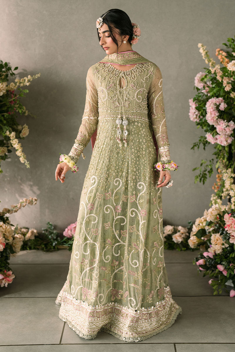 Mushq | Mastani Evening Luxury Chiffon | Namar -  Mushq Formal - Original Designer Dress - House of Maryam
