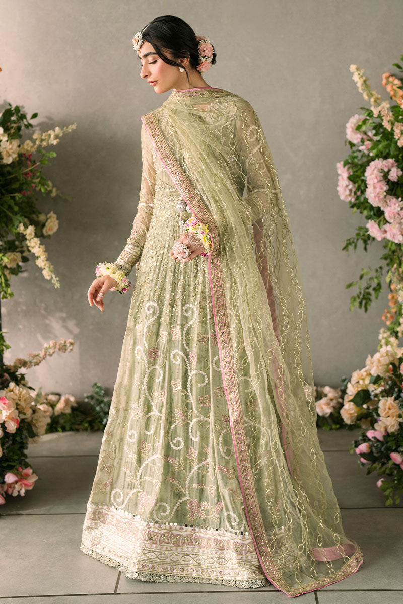 Mushq | Mastani Evening Luxury Chiffon | Namar -  Mushq Formal - Original Designer Dress - House of Maryam