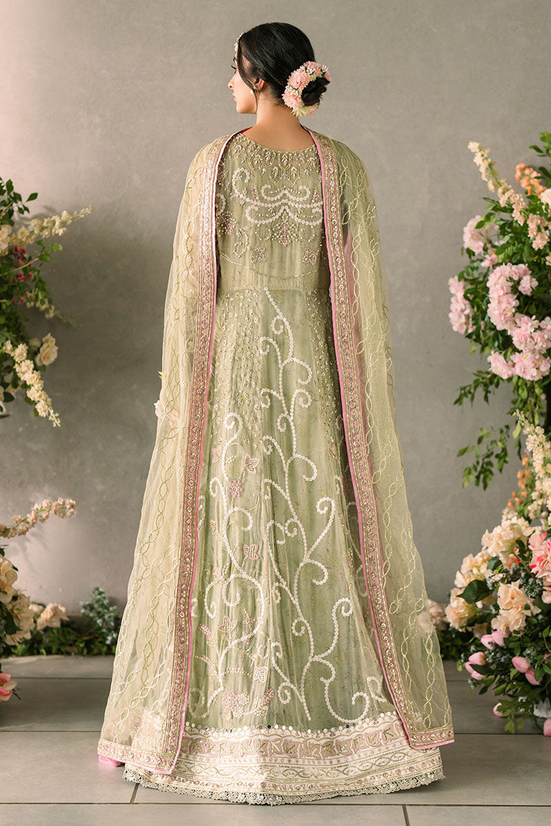 Mushq | Mastani Evening Luxury Chiffon | Namar -  Mushq Formal - Original Designer Dress - House of Maryam