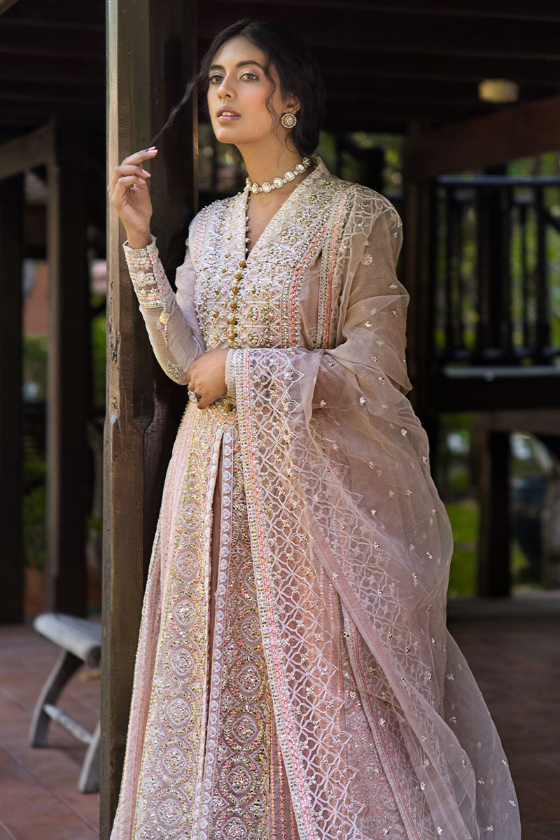 Mushq | Roohi Luxury Collection |Anika by Designer Mushq - House of Maryam - Pakistani Designer Ethnic Wear in {{ shop.shopifyCountryName }}