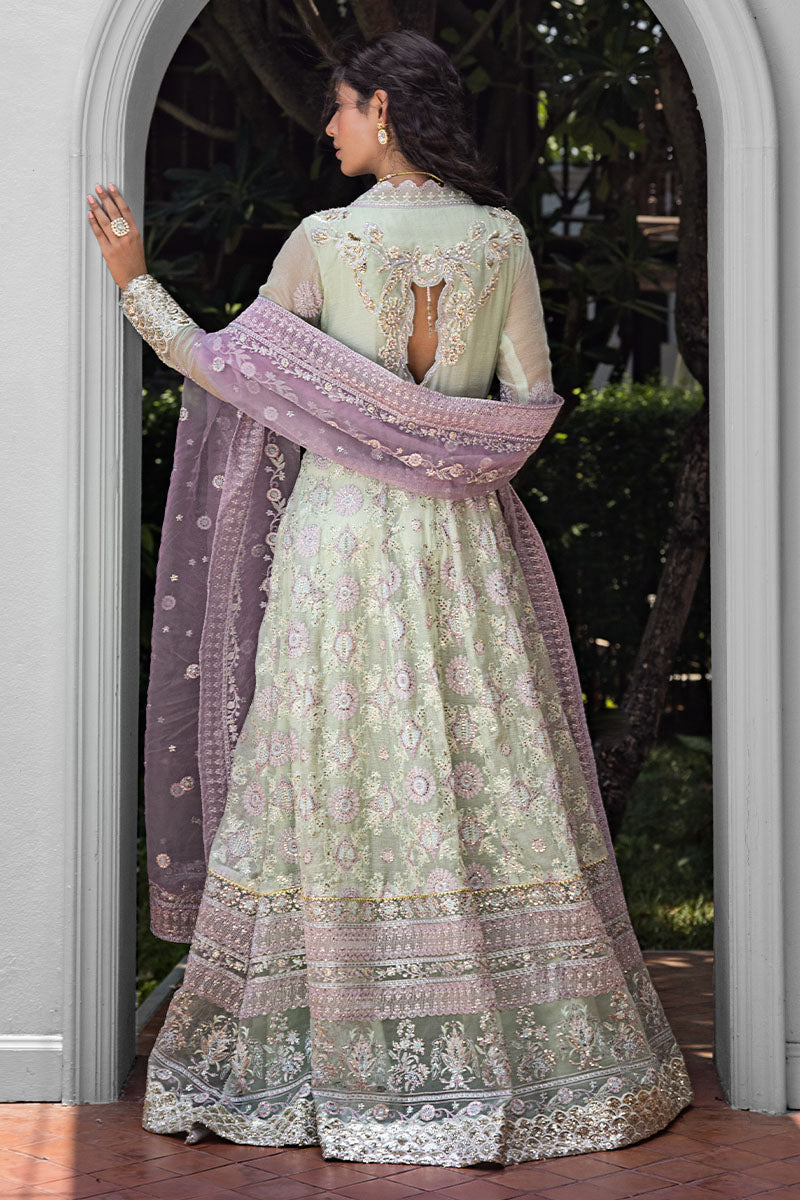 Mushq | Roohi Luxury Collection | Aara -  Mushq Formal - Original Designer Dress - House of Maryam