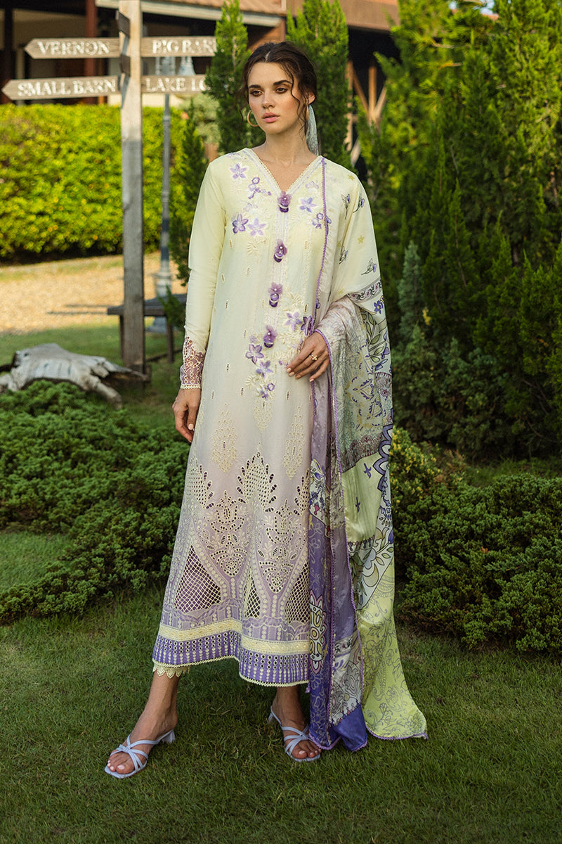 Mushq | Solace Ombre Chikankari | Gioia -  Mushq Ladies Clothes - Original Designer Dress - House of Maryam