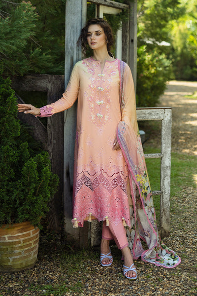 Mushq | Solace Ombre Chikankari | Risate -  Mushq Ladies Clothes - Original Designer Dress - House of Maryam