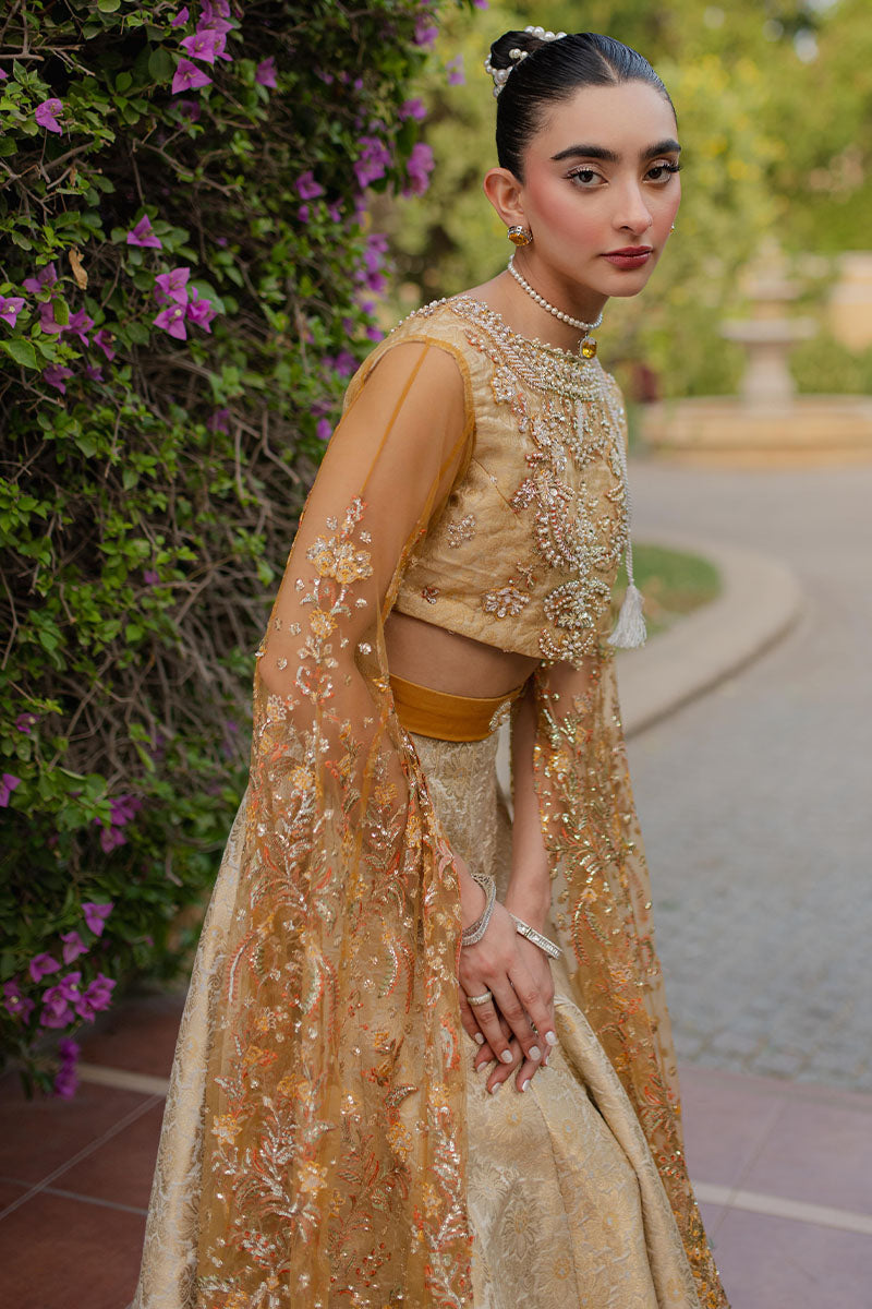Mushq | Mann Mein Tu Wedding | SITARAY -  Mushq Ladies Clothes - Original Designer Dress - House of Maryam