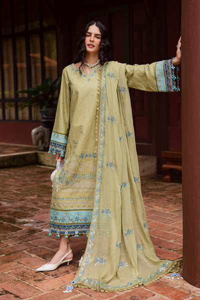 Marjjan | Bella Karandi 25 | MWK-42 A (OLIVE GREEN) -  Marjjan Ladies Clothes - Original Designer Dress - House of Maryam