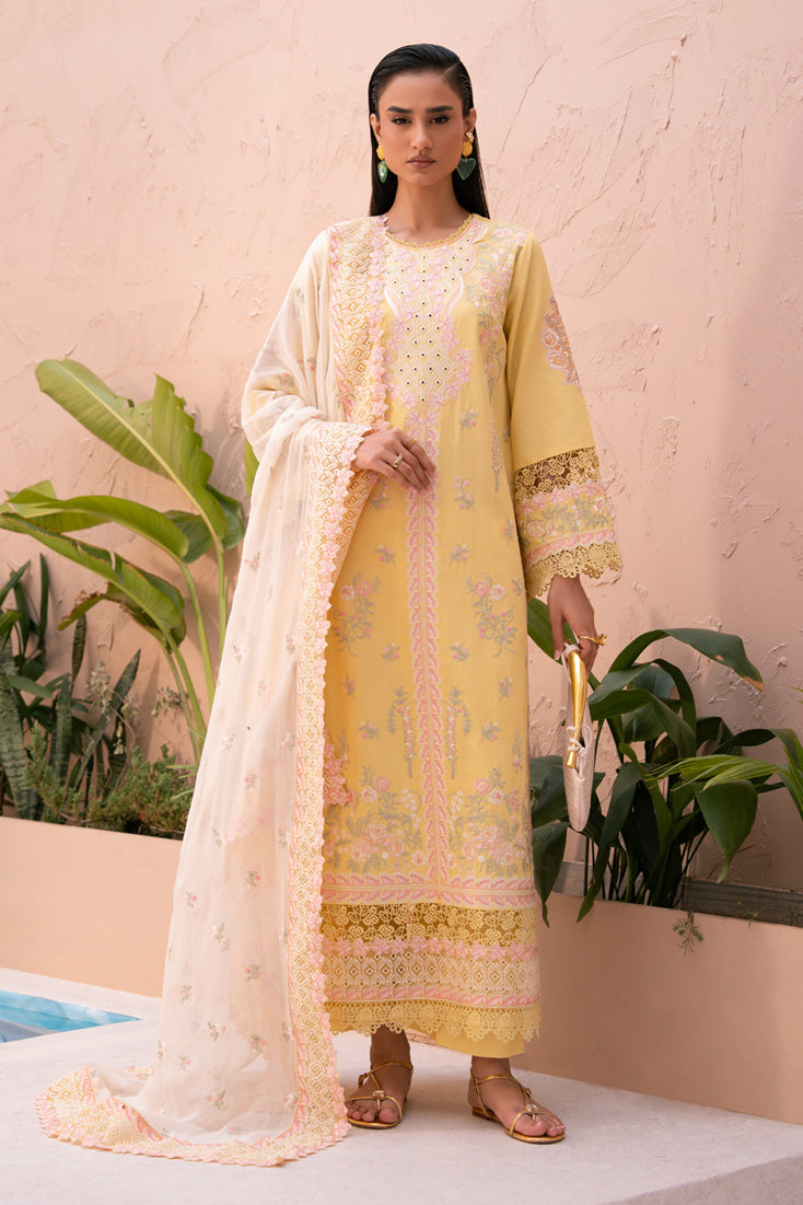 Marjjan | Orya Collection | MWK-74 A