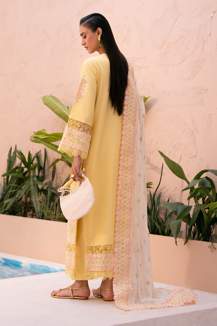 Marjjan | Orya Collection | MWK-74 A-2