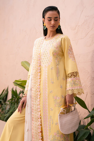 Marjjan | Orya Collection | MWK-74 A