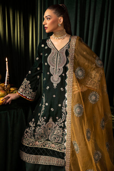 Motifz | Velvet Formals | 5094-YUMNA -  Motifz Ladies Clothes - Original Designer Dress - House of Maryam