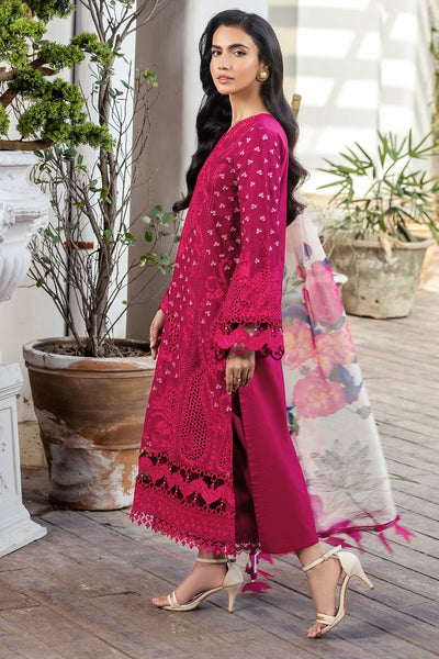 Motifz | Premium Lawn 25 | 5311-LIANA -  Motifz Ladies Clothes - Original Designer Dress - House of Maryam