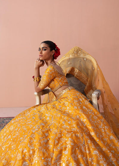 Waqas Shah | Madhubala | ZARI -  Waqas Shah Formal - Original Designer Dress - House of Maryam