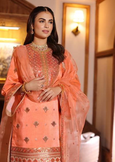Waqas Shah | Meh-E-Nur | BLUSH -  Waqas Shah Bridal - Original Designer Dress - House of Maryam