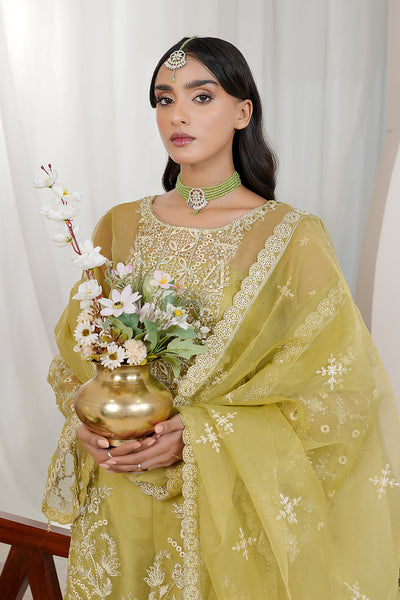 Maryams | Embellished Pret |  Rabi -  Maryams Ladies Clothes - Original Designer Dress - House of Maryam