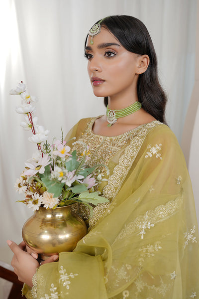 Maryams | Embellished Pret |  Rabi -  Maryams Ladies Clothes - Original Designer Dress - House of Maryam