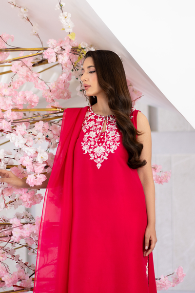 Mina Hassan | Eid 26 | Ayra-4