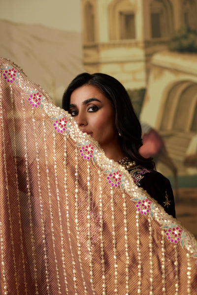 Mina Hassan | Velvet Luxe |  Ayesha -  Mina Hassan Ladies Clothes - Original Designer Dress - House of Maryam