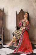 Mina Kashif | Festive Lawn | Amani by Designer Mina Kashif - House of Maryam - Pakistani Designer Ethnic Wear in {{ shop.shopifyCountryName }}