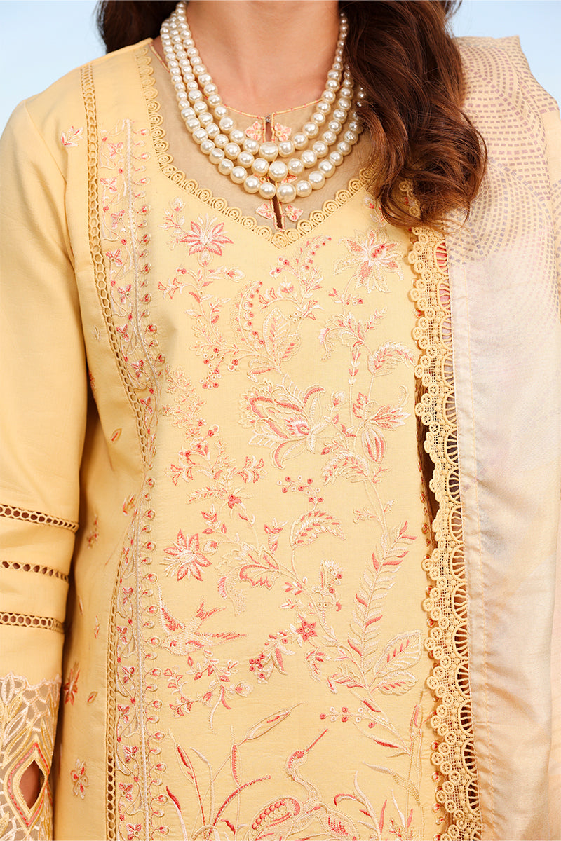 Rangrasiya | Florence Summer Edit 26 | Mirha-7