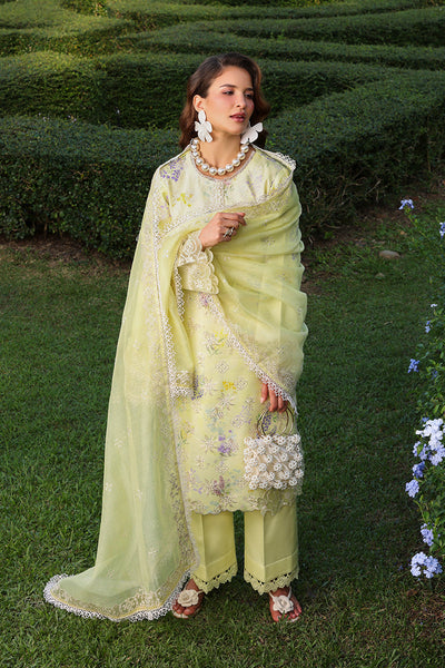 Rangrasiya | Florence Summer Edit 26 | Misha